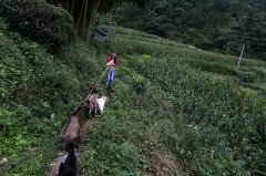 �м���19��������Ӥ ���ϴ�ѧ����˫��