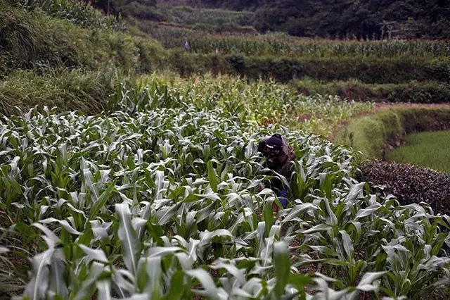 �м���19��������Ӥ ���ϴ�ѧ����˫��