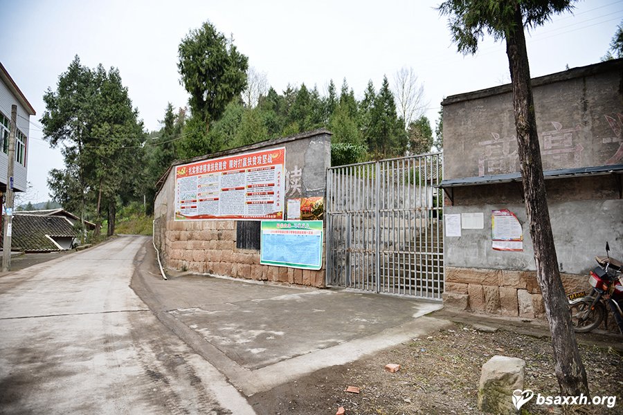 �ð��ɳ�-��ͭ��Сѧ������ѧ�