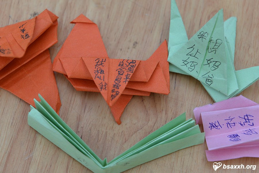 ��ӭ���磬����һ��-ʥ�ʹ�Сѧ������ѧ�